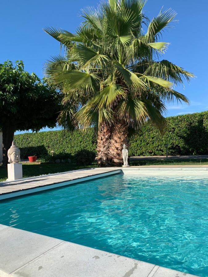 Atelier Des Vidaux Bed & Breakfast Saint-Aunes Exterior photo